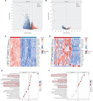 Elucidating sleep disorders: a comprehensive bioinformatics analysis of functional gene sets and hub genes